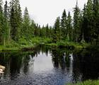 Petit lac dans la taiga finlande