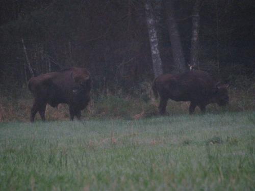 photo-1029.jpg