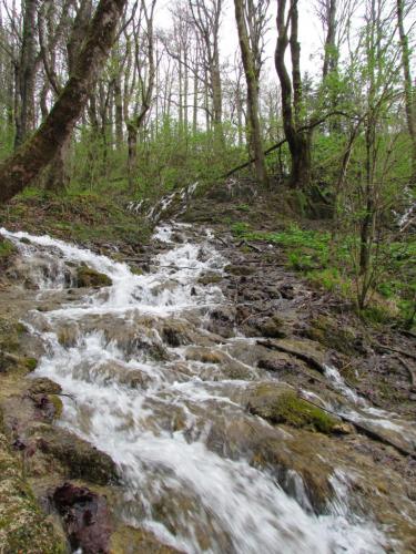 Parc national de Plitvice